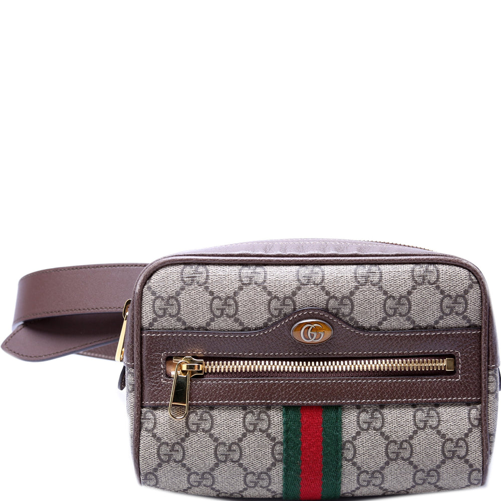 Mini Ophidia Belt Bag 517076