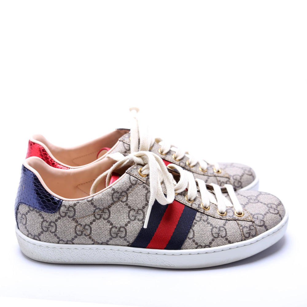 
                      
                        Ace Web Sneakers Size 37.5
                      
                    